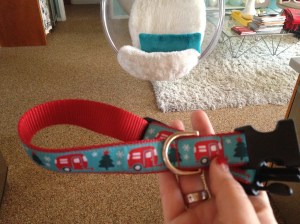Airstream dog collar